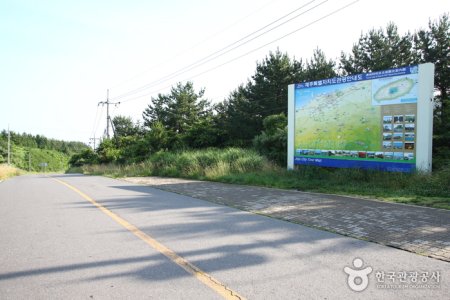 神秘的道路