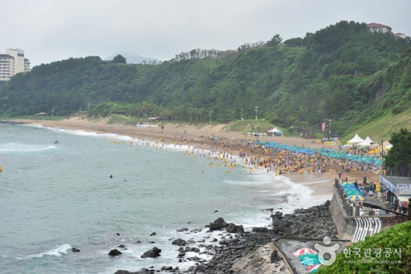 中文·穡達海邊