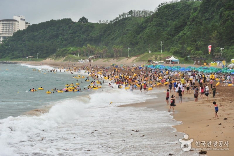 中文·穡達海邊