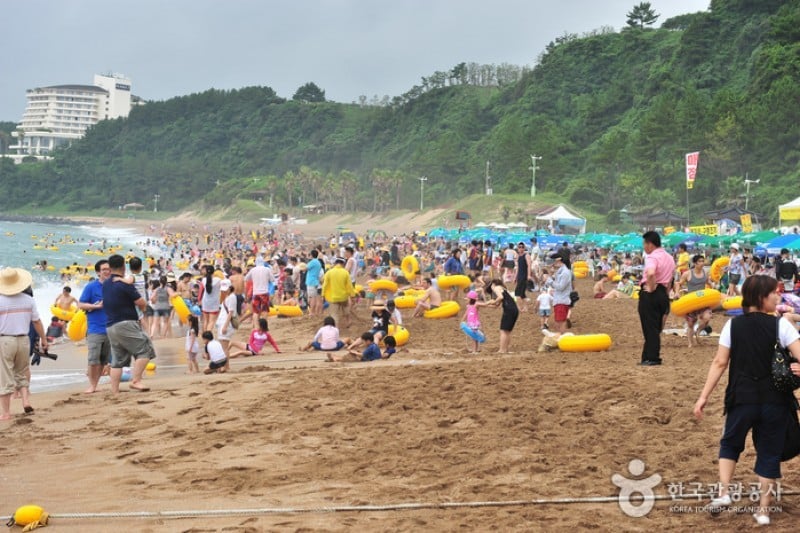 中文·穡達海邊