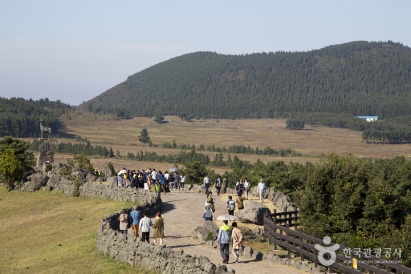 山君不離 (1/6)