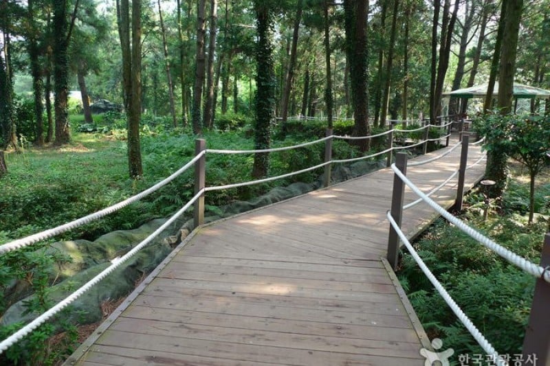 金寧迷宮公園