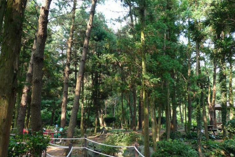 金寧迷宮公園