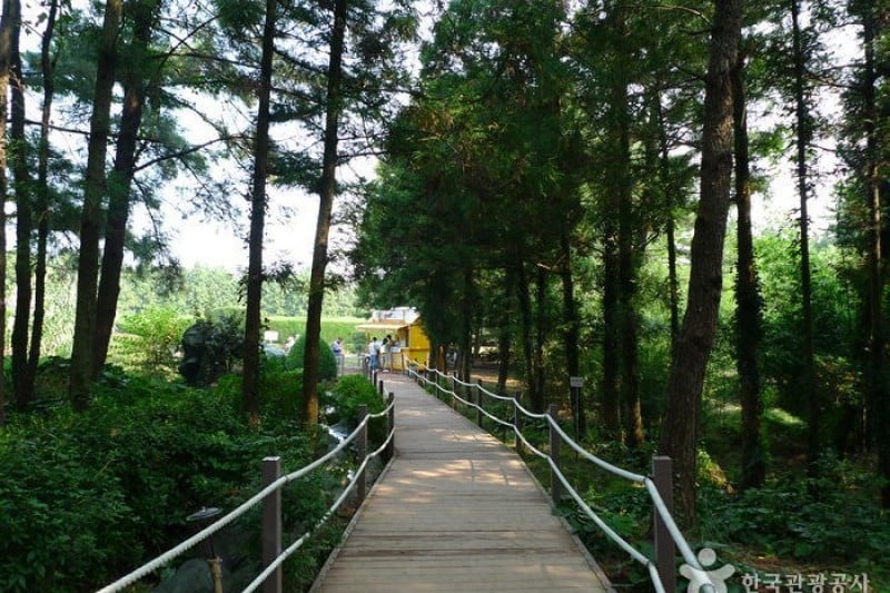 金寧迷宮公園