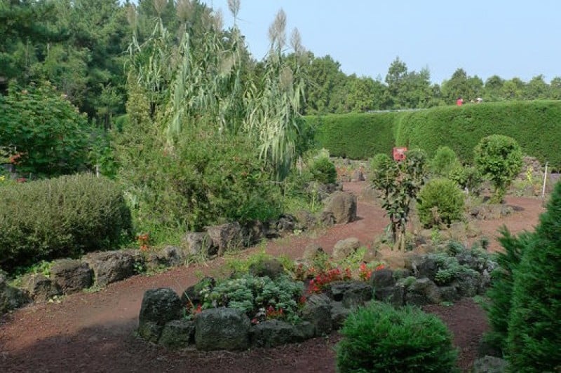金寧迷宮公園