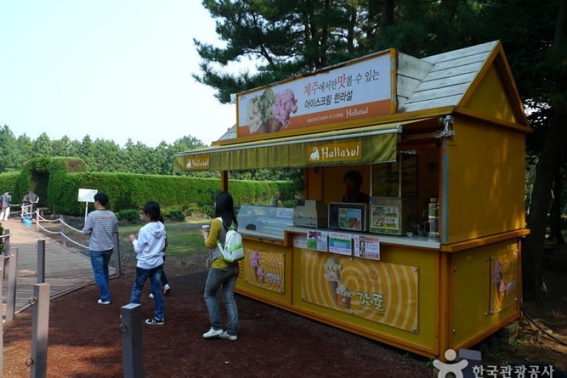 金寧迷宮公園