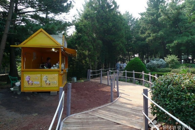金寧迷宮公園