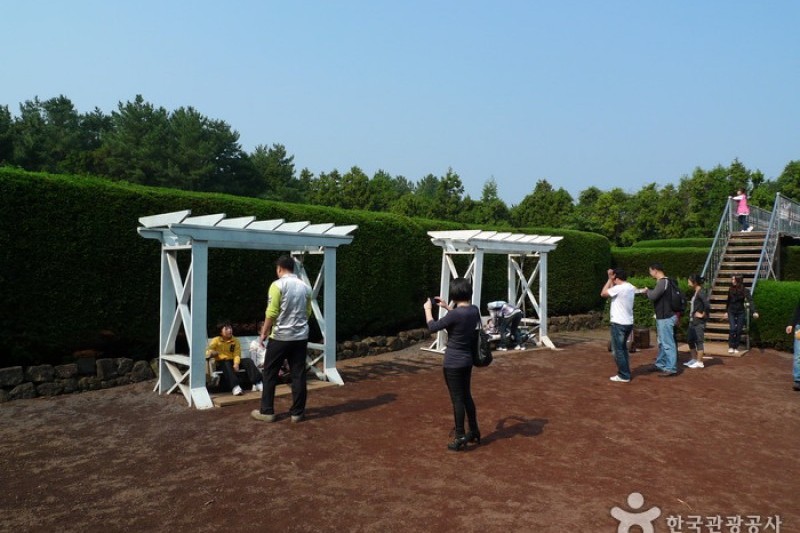 金寧迷宮公園