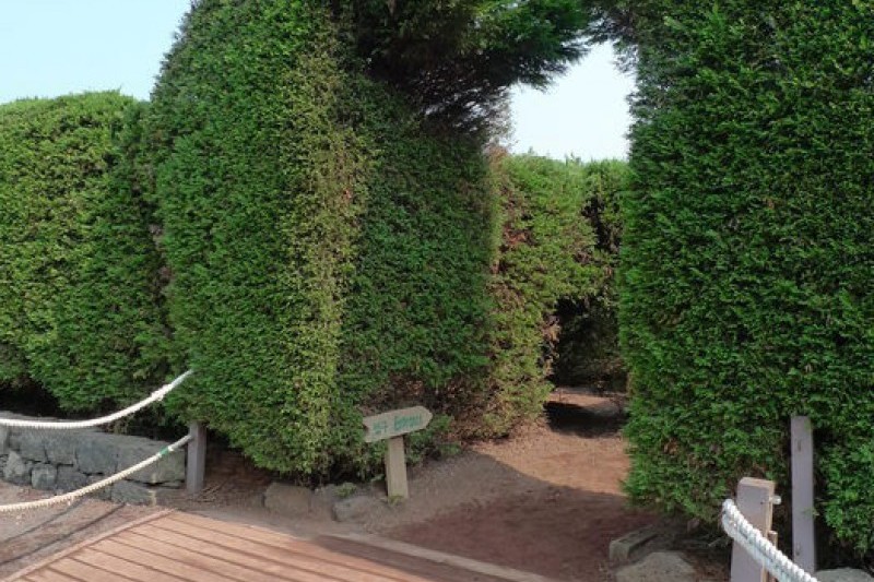金寧迷宮公園