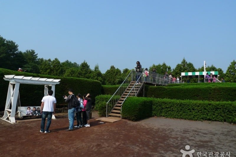 金寧迷宮公園