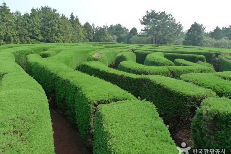 金寧迷宮公園