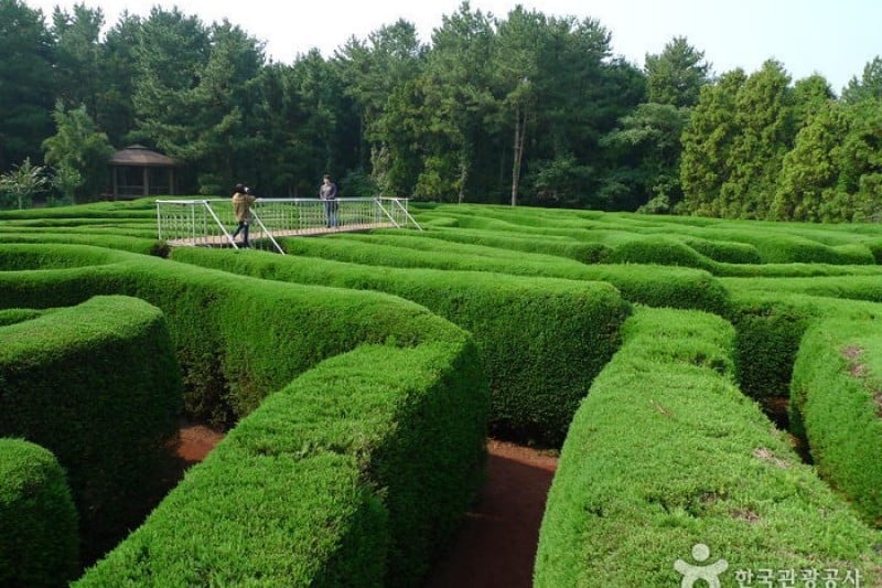金寧迷宮公園