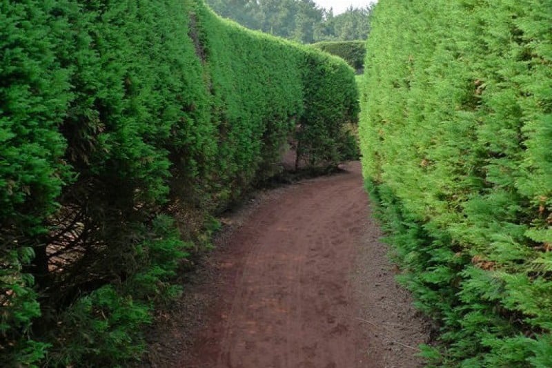 金寧迷宮公園