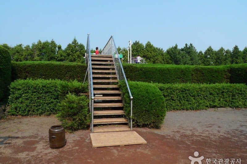 金寧迷宮公園