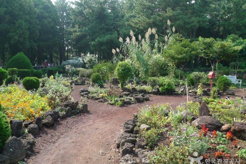 金寧迷宮公園