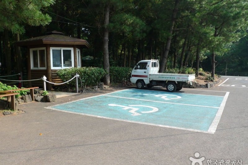 金寧迷宮公園