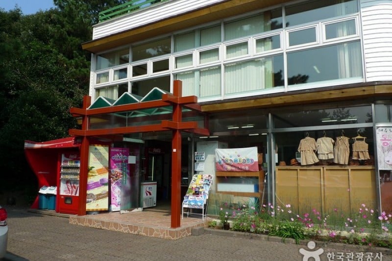 金寧迷宮公園