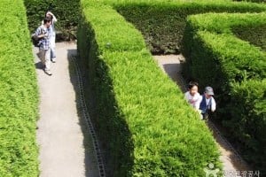 金寧迷宮公園