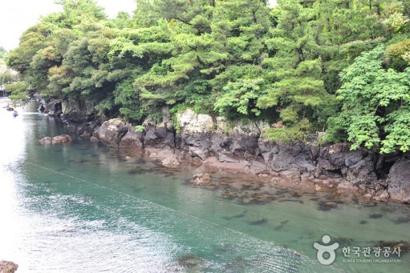 牛沼河口