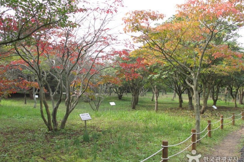漢拏樹木園