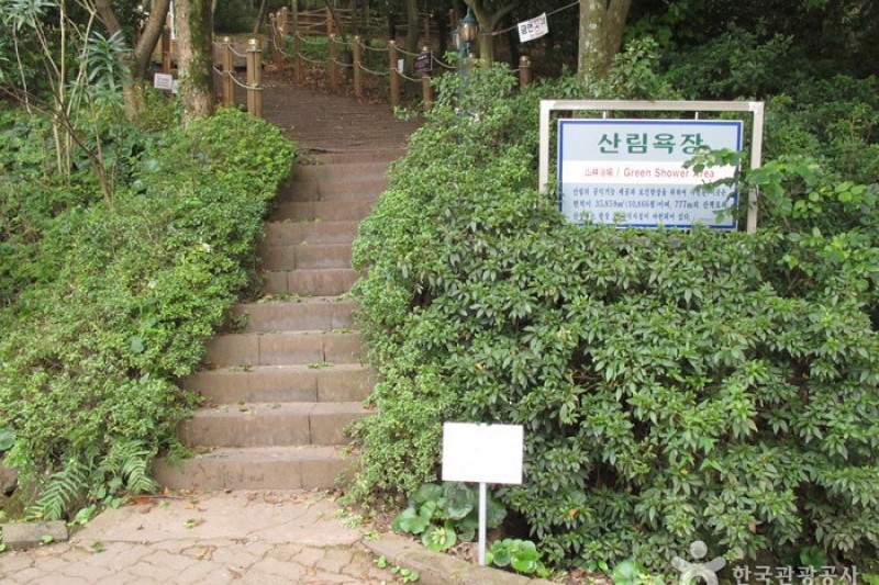 漢拏樹木園