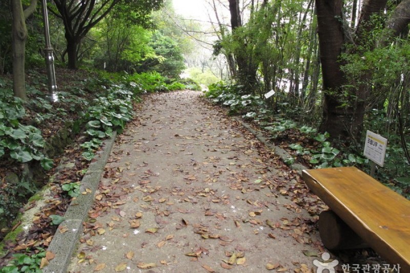 漢拏樹木園