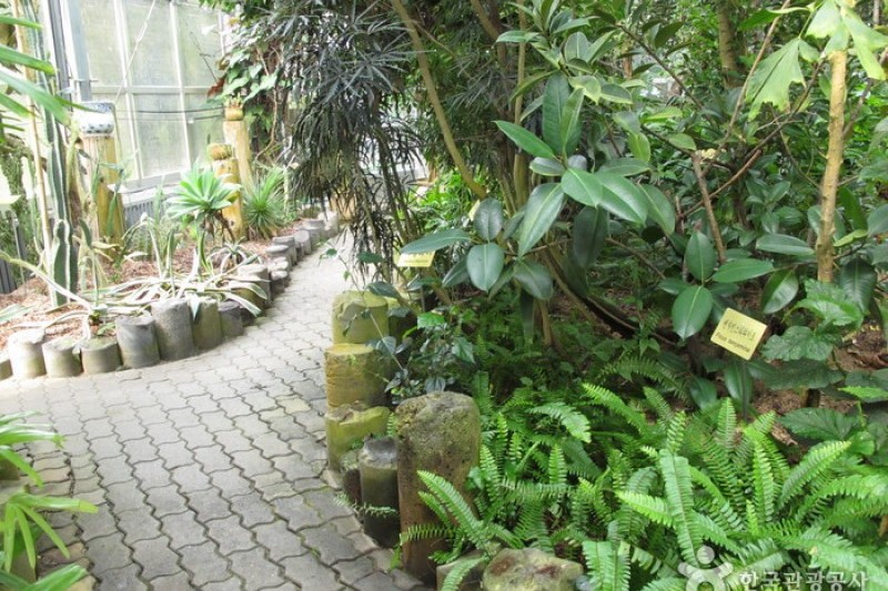漢拏樹木園