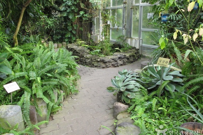 漢拏樹木園
