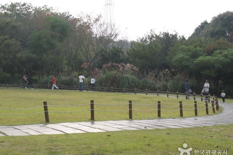 漢拏樹木園