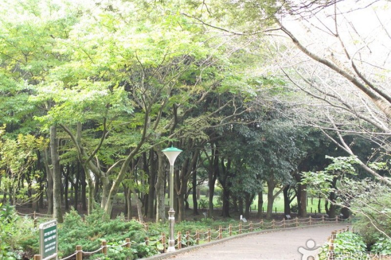 漢拏樹木園