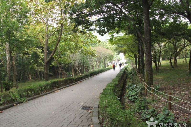 漢拏樹木園