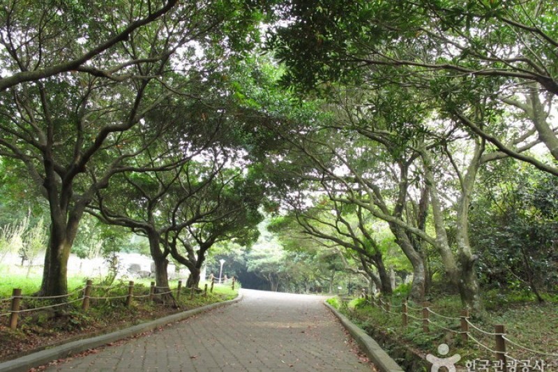 漢拏樹木園