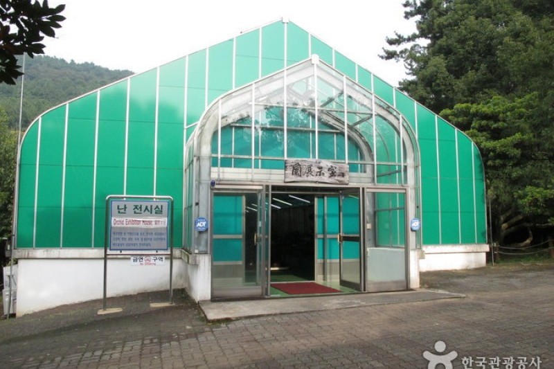 漢拏樹木園