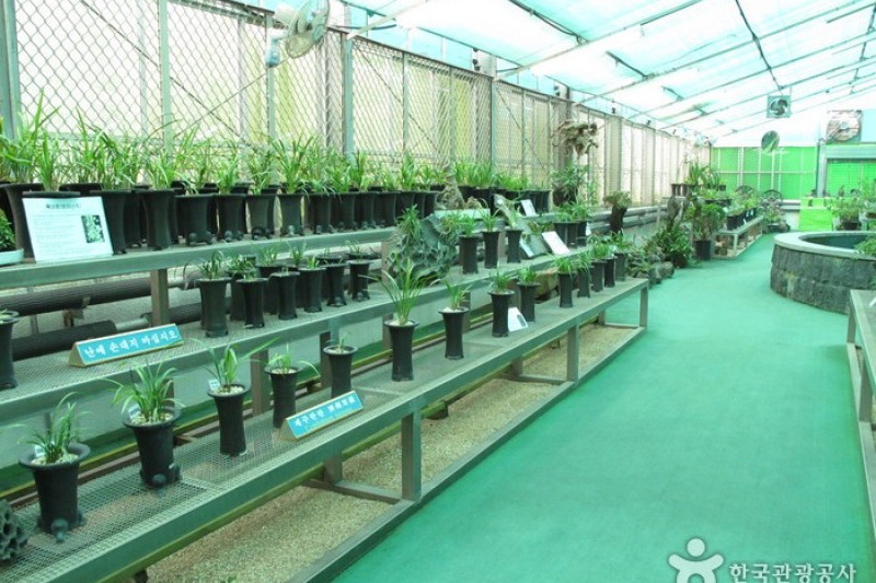 漢拏樹木園
