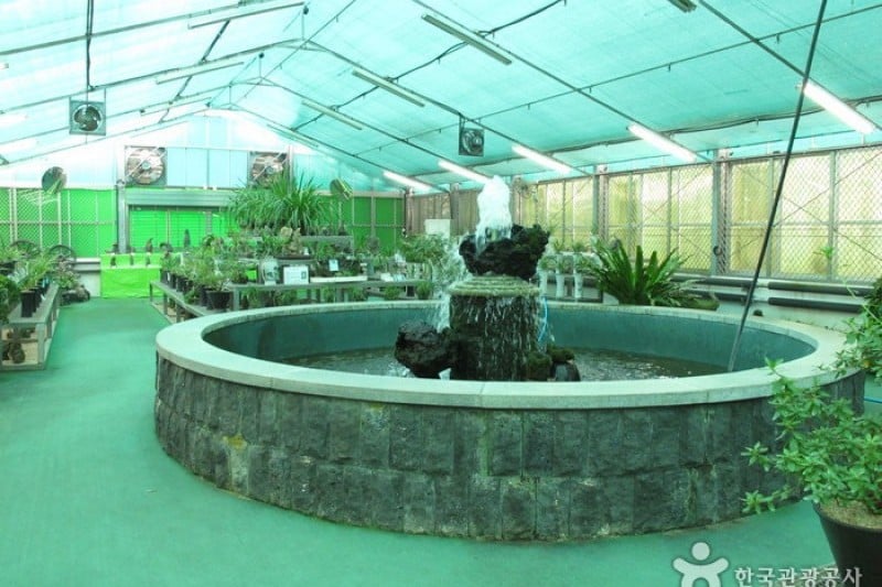 漢拏樹木園
