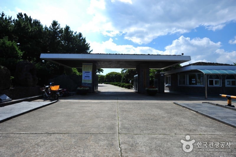 濟州民俗自然史博物館 (5/6)
