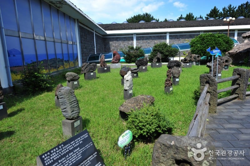 濟州民俗自然史博物館 (6/6)