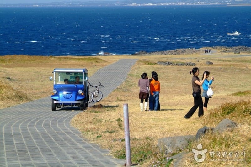 馬羅島  (11/15)