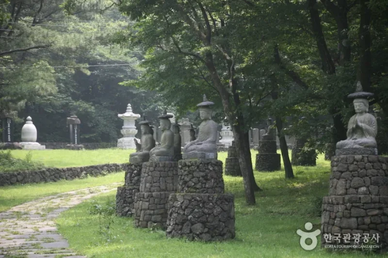 觀音寺 (9/15)