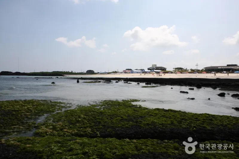 金寧海水浴場