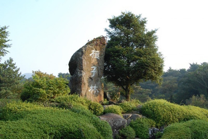 榧子林