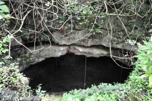 金寧蛇窟[UNESCO世界自然遺產]