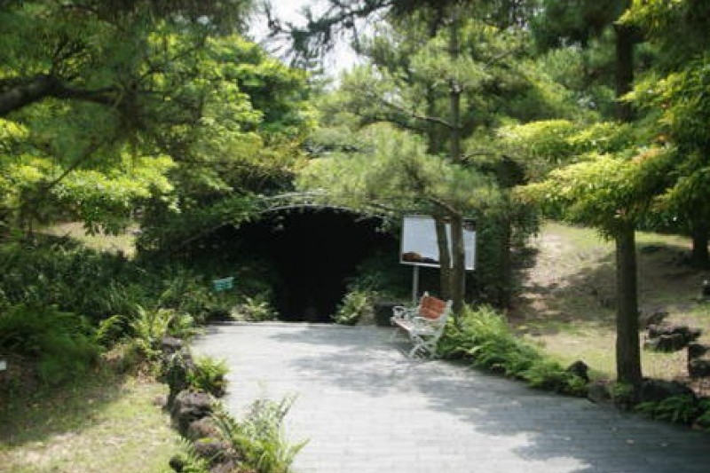 雙龍窟(Hallim Park) 
