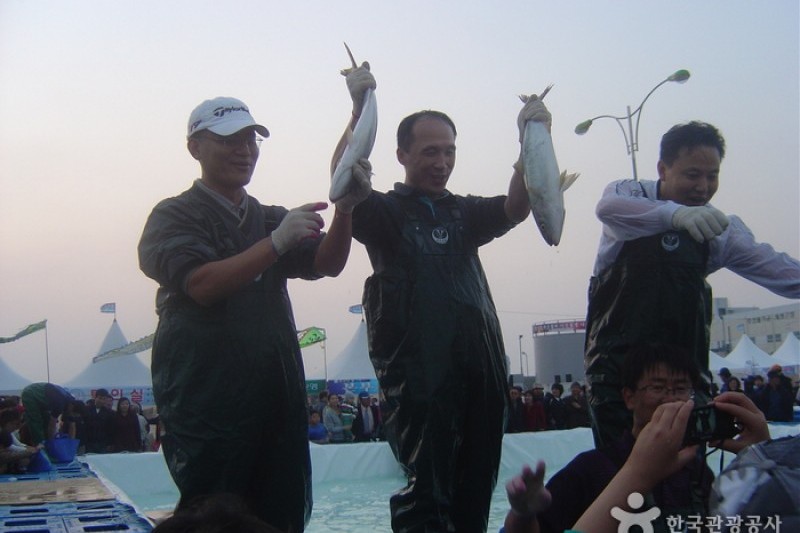 最南端鰤魚節
