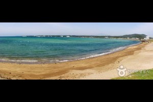 新陽涉地可支海邊