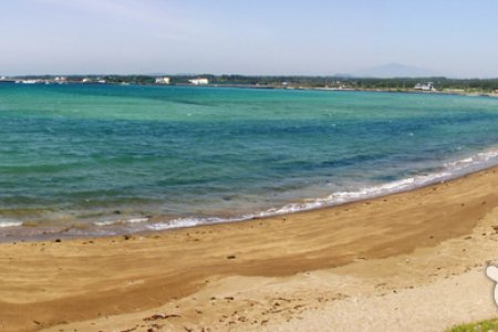 新陽涉地可支海邊