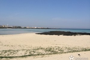 飛揚島