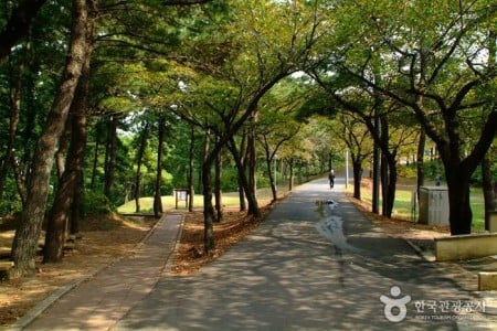 沙羅峯公園