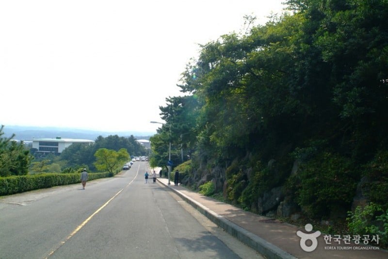 沙羅峰公園 (2/6)