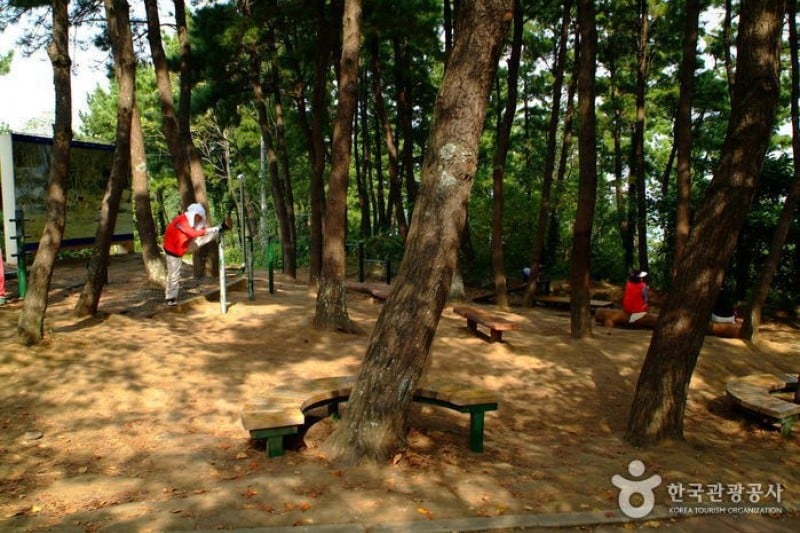 沙羅峰公園 (3/6)